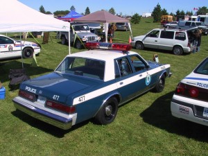 1988 Plymouth Caravelle - 2004